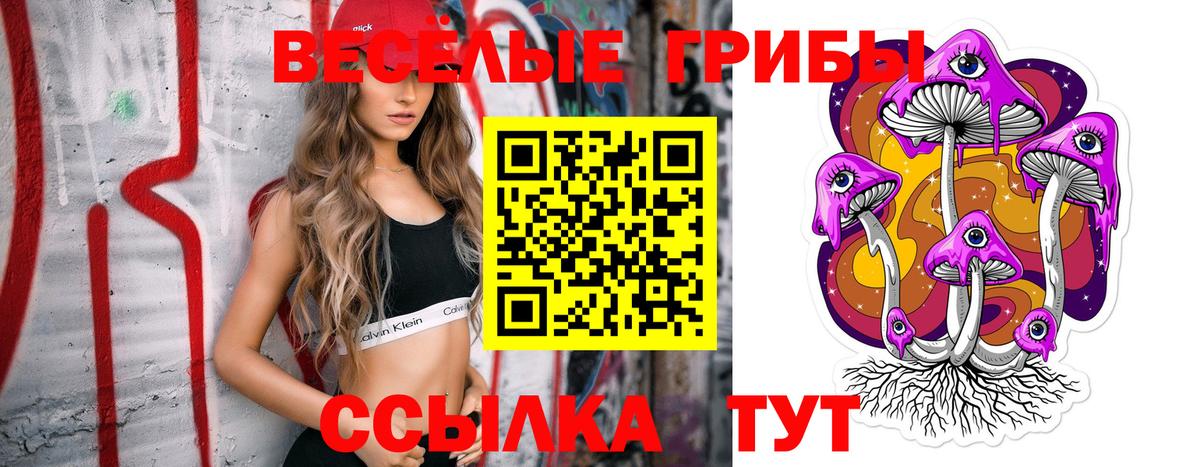 Псилоцибиновые грибы мицелий  Вход с VPN  Баксан 