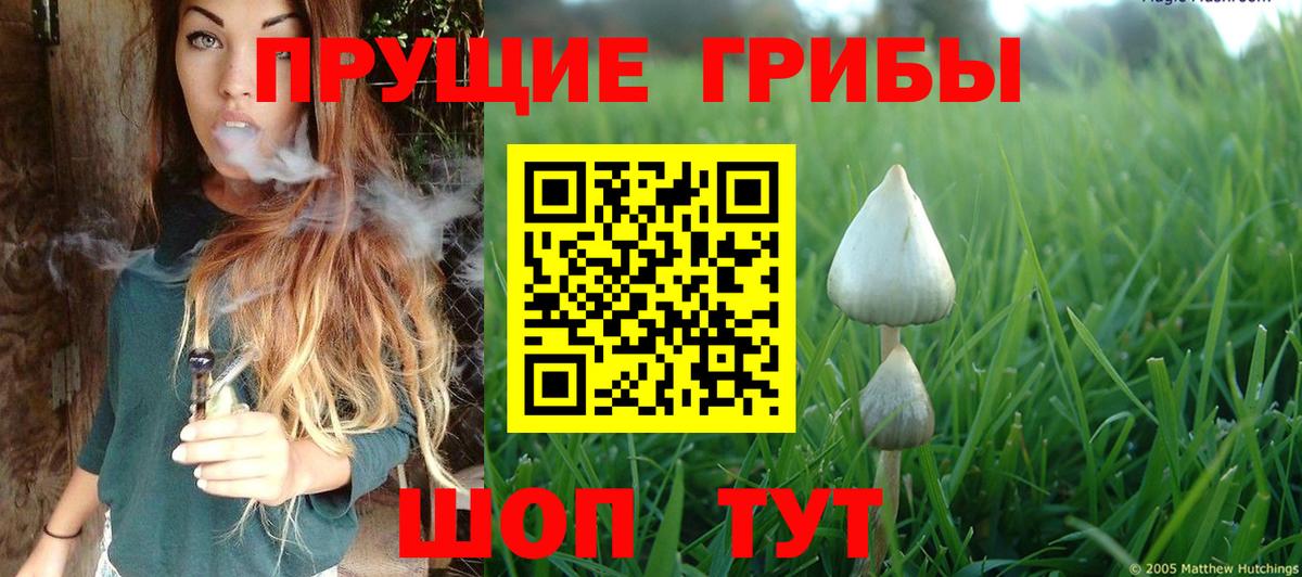 Галлюциногенные грибы GOLDEN TEACHER Баксан